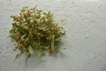 Wall Mural - Lime tree flowers dried for herbal linden tea