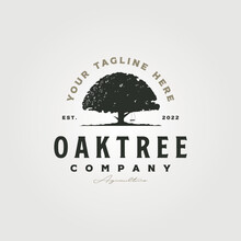 Oak Tree Vintage Logo Vector Symbol With Typography Design. Tree Swing With Tree Logo Design