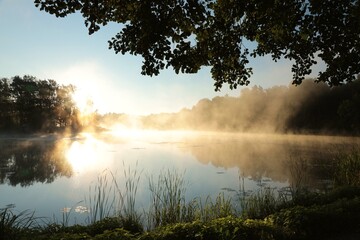 Wall Mural - Sunrise over a lake on a foggy summer day