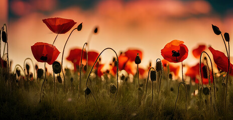 Sticker - Bright flowers of red poppies in the field in the evening against the sky 3D illustration