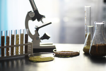 Wall Mural - Research Analyzing Agricultural Grains And seeds In The Laboratory. Test tubes with seeds of selection plants.