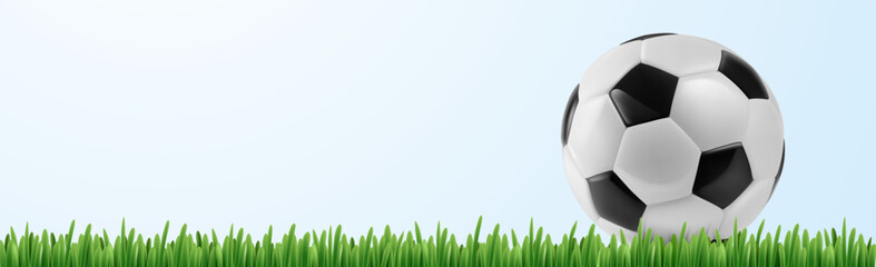 Sticker - Realistic soccer ball on green grass. Vector illustration