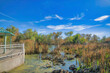 Sweetwater Wetlands nature preserve park in Tucson Arizona with nature views