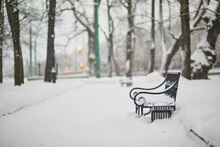 Bench In Mikhailovsky Garden On A Cold And Snowy Winter Day In Saint Petersburg, Russia