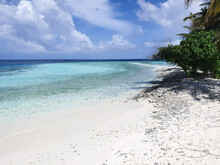 Beach Formed From Shells Of Shells That Died After The Tsunami In The Maldives