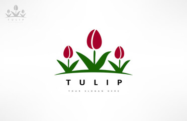  Tulip logo vector. Flower Design illustration.