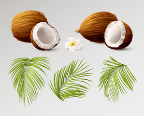 Wall Mural - 3d coconut realistic. Whole and half coco different side view, palm leaves and tropical flower. Cosmetic packaging design isolated elements palm oil and milk. Healthy food vector isolated illustration