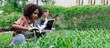 © anut21ng Stock - teenage female student uses laptop computer to analyze and research agricultural crops in vegetable plot with copy space, agricultural technology concept