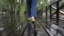 Back View Of Woman Feet Walking Along Autumn Park In Daytime. Camera Following Unknown Woman Legs Spending Free Time In Wet Foliage Place. Unrecognizable Female Feet Going October Park.
