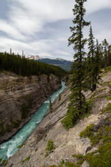 Kootenay Plains Ecological Reserve, AB