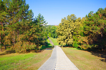 Wall Mural - Moldova. Kishinev. City arboretum. View of the alleys and green trees and grass.