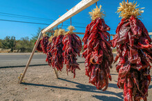 Hanging Strings Of Dried Chili Peppers Beside The Road Near The Shrubland At Tucson, Arizona