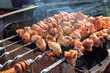 Shish kebab on the grill. Cooking marinated shashlik on the mangal over charcoal. Barbecue on a picnic in nature.	