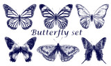 Fototapeta Motyle - Set of butterflies drawn with a blue pen isolated on a white