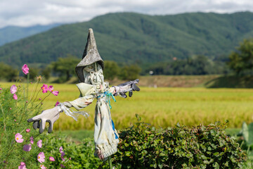 Wall Mural - 伊那、アルプスの山脈を背景に麓に広がる田んぼと案山子