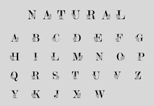 Botanical Alphabet, Letters With Stylized Leaves. Nature Style Font