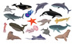 Marine Habitant and Sea Mammal with Dolphin, Shark, Whale, Squid, Jellyfish and Walrus Big Vector Set