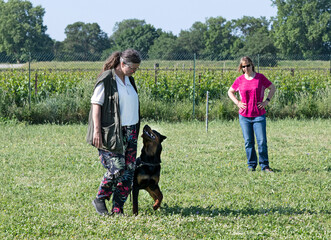 Wall Mural - woman and rottweiler in nature