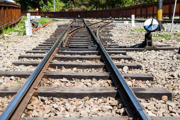 Wall Mural - Close-up of the railway at the Alishan Forest Recreation Area in Chiayi, Taiwan.