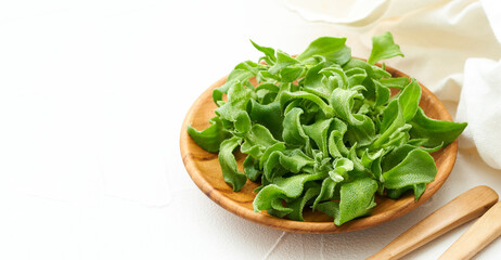 crystalline ice plant or crystal ice plant in wood plate on white background. green leaves Crystalline ice plant vegetable food in wood plate on white background                                    