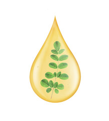 Wall Mural - Drop of moringa oil with fresh green leaf inside isolated on white background with clipping path. 