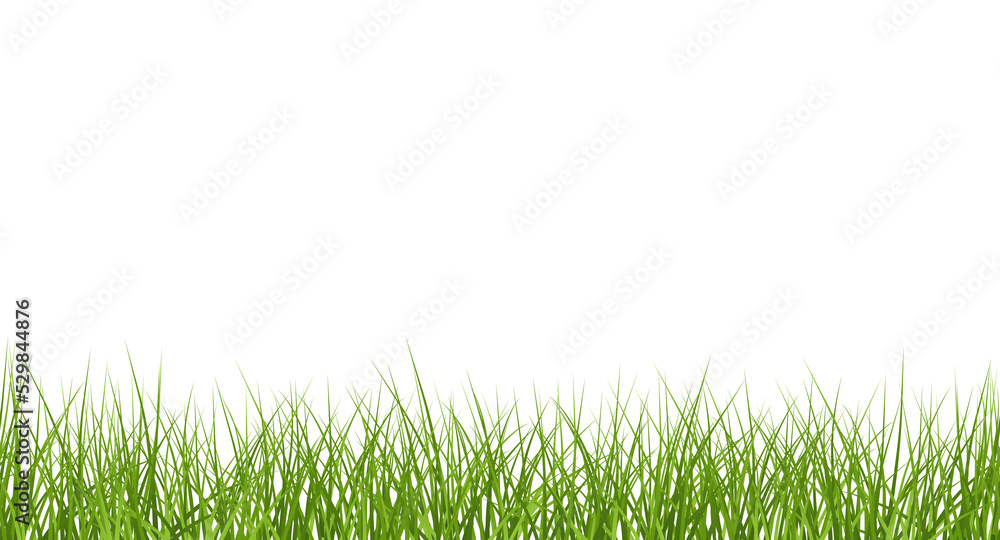 Vector bright green realistic seamless grass border isolated on ...