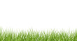 Vector bright green realistic seamless grass border isolated on transparent background
