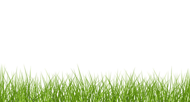 vector bright green realistic seamless grass border isolated on transparent background
