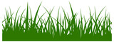 Fototapeta Panele - Grass banner. Seamless border design. Natural lawn plant