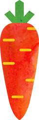 Wall Mural - Colorful watercolor texture food ingredient vegetable carrot