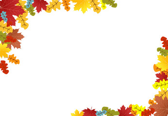Wall Mural - autumn foliage png. on isolated transparent background. abstract wallpaper design with maple leaves,
