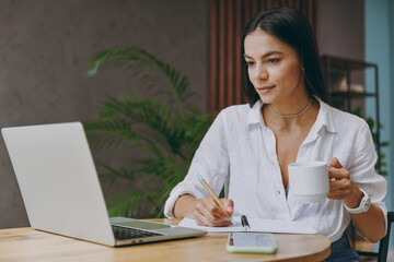 Wall Mural - Side view calm young latin IT woman in white shirt hold use work or study on laptop pc computer drink tea sit at table in coffee shop cafe restaurant indoors Freelance mobile office business concept.