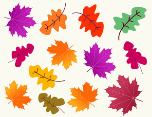 Wall Mural - autumn leaves vector set on white background. line art. elegant botanical in fall season.