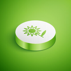 Wall Mural - Isometric Sunflower icon isolated on green background. White circle button. Vector