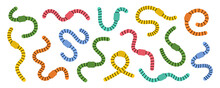 Set Of Colored Curled Earthworms. Compost Earthworms Line Illustration. Terrestrial Annelids Worms. Invertebrate Worms Colored Line Banner.