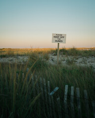 Wall Mural - Sand dunes and fence with 