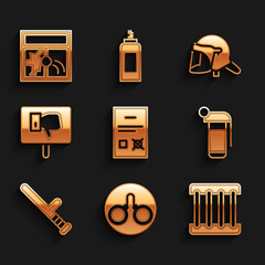 Wall Mural - Set Poll document, Handcuffs, Prison window, grenade, Police rubber baton, Protest, helmet and Broken icon. Vector