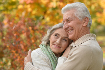 Wall Mural - Nice elderly couple in a autumn park