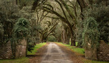 Fototapeta  - Tree tunnel down a dirt road with brick entrance