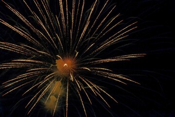 Poster - Long-exposure shot of fireworks in the dark sky