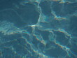 woda w basenie z kolorowym refleksem