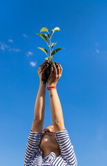 Wall Mural - The child is planting a plant in the garden. Selective focus.