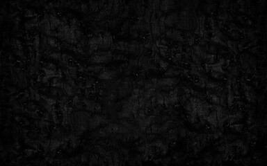 Wall Mural - Abstract black burl wood texture