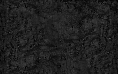 Wall Mural - Black burl wood texture high resolution