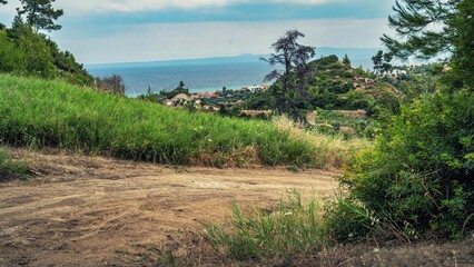 Sticker - Dirt road on a hill with bushes on both sides