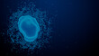 © RocknRoller Studios - Microscopic View of Monkeypox Virus. Viral Disease concept with Copy-Space.