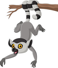 Cartoon Cute Lemur Hanging On Tree Branch