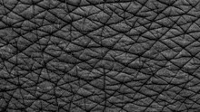 Elephant Skin Texture Background, Asian Elephant Skin Texture, Asian Elephant Reveals The Texture Of The Animal Skin.