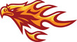 Fire Eagle Phoenix Falcon Hawk Head Flame Logo Template Design
