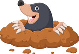 Fototapeta Dinusie - Cartoon mole come out of the hole
